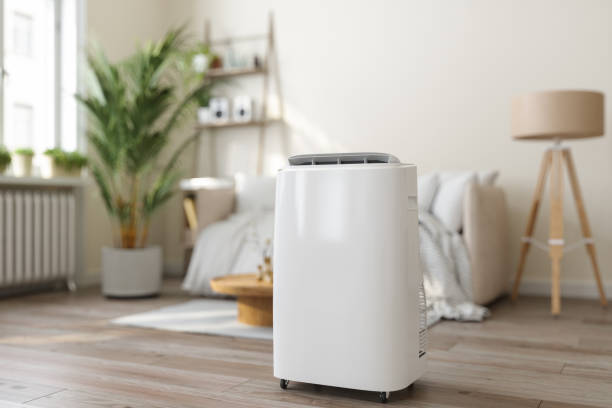 Best Local HVAC companies  in Crisfield, MD